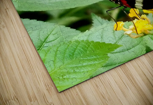 Butterfly Earthshine Emporium puzzle