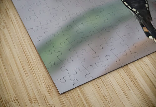 Butterfly Pullup Earthshine Emporium puzzle