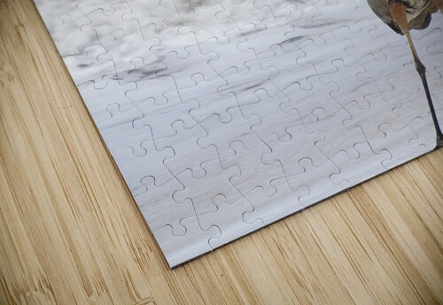 Sneaky Blue Heron Earthshine Emporium puzzle