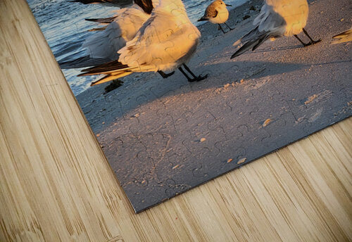 Gulls & Terns Earthshine Emporium puzzle