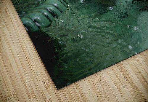 Catbird Scolding Earthshine Emporium puzzle