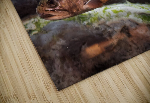 Brook Trout Earthshine Emporium puzzle