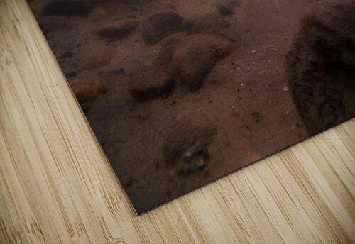 Shade Brook Trout Fave 1 Earthshine Emporium puzzle