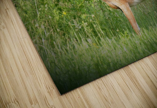 Velvet Buck Earthshine Emporium puzzle