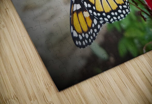 Monarch On Cardinal Flower Earthshine Emporium puzzle