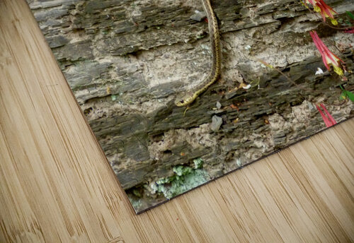 Beauty And Beast Earthshine Emporium puzzle