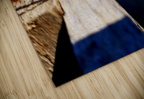 Emerging Dragonfly Earthshine Emporium puzzle