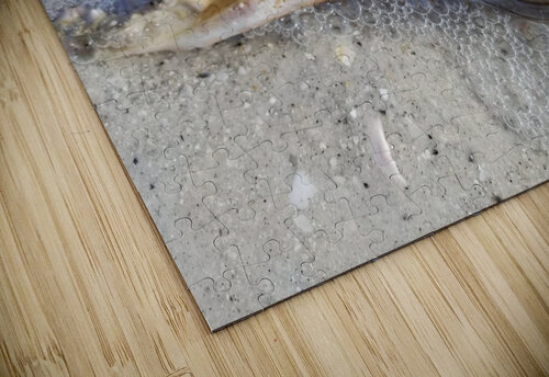 Crab Earthshine Emporium puzzle