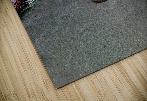 Tidal Pool 4 Earthshine Emporium puzzle