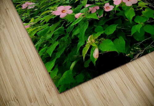 Swamp Mallow At Moraine State Park Earthshine Emporium puzzle
