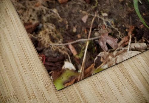 Spring Beauties Earthshine Emporium puzzle