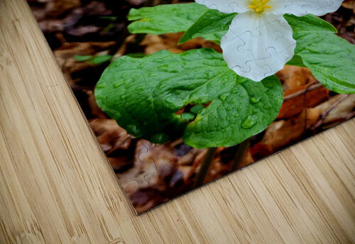 White Trillium Column Earthshine Emporium puzzle