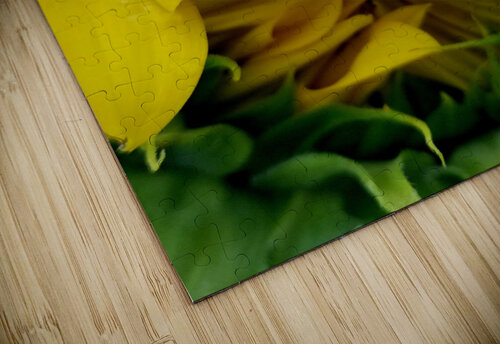 Sunflower Peek Earthshine Emporium puzzle