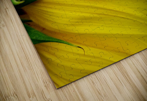 Sunflower Portrait 1 Earthshine Emporium puzzle