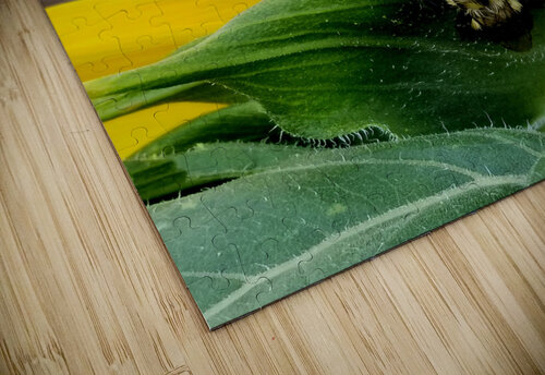 Sunflower Bumblebee Earthshine Emporium puzzle