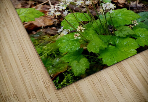 Foamflower Streamside Earthshine Emporium puzzle
