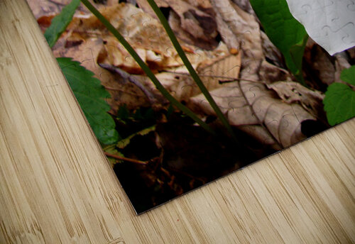 Trillium Earthshine Emporium puzzle