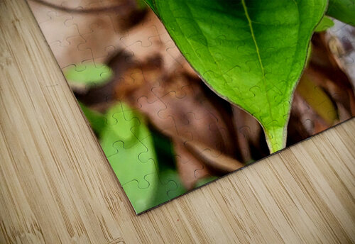 White Trillium Bud 2 Earthshine Emporium puzzle