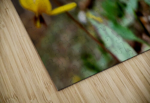 Trout Lilies Earthshine Emporium puzzle