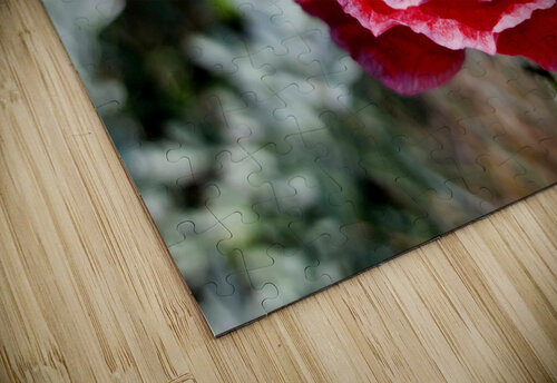 Variegated Poppy Earthshine Emporium puzzle