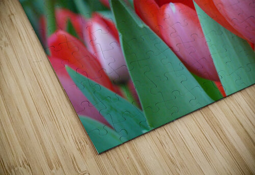 Red Tulips Earthshine Emporium puzzle