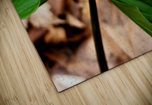 White Trillium Bud Earthshine Emporium puzzle