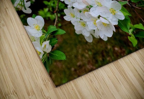 Apple Blossoms Earthshine Emporium puzzle