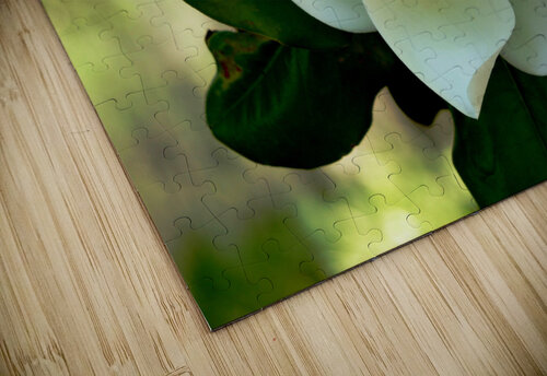 Magnolia Flower Earthshine Emporium puzzle