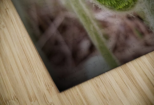 Fiddlehead Earthshine Emporium puzzle