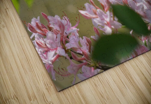 Native Azalea 2 Earthshine Emporium puzzle