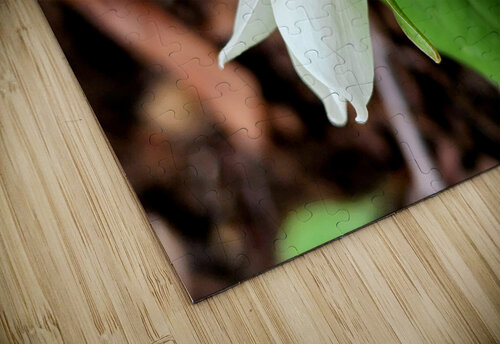 White Trillium Bud 1 Earthshine Emporium puzzle
