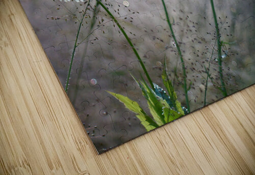 Daisies Earthshine Emporium puzzle