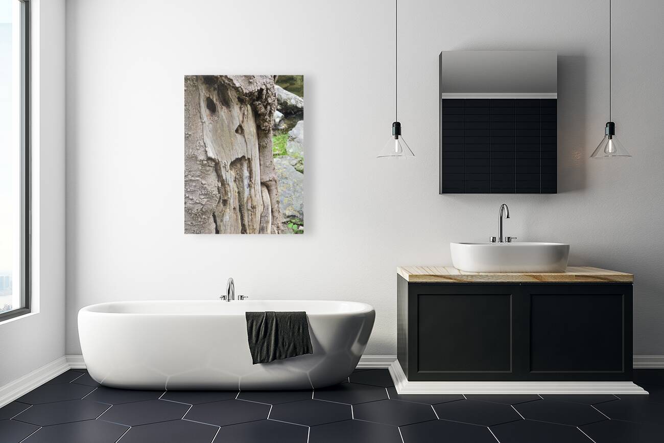 Faces Of The Smokies 4 Reproduction