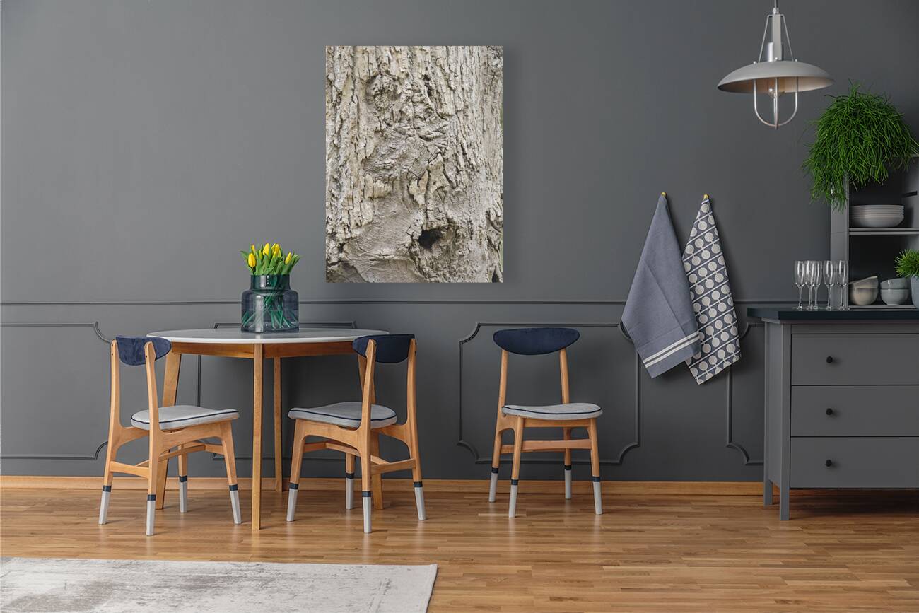 Faces Of The Smokies 3 Reproduction