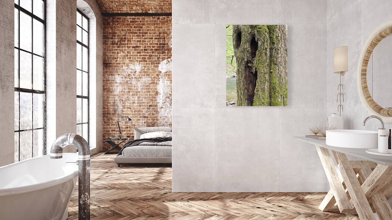 Faces Of The Smokies 2 Reproduction