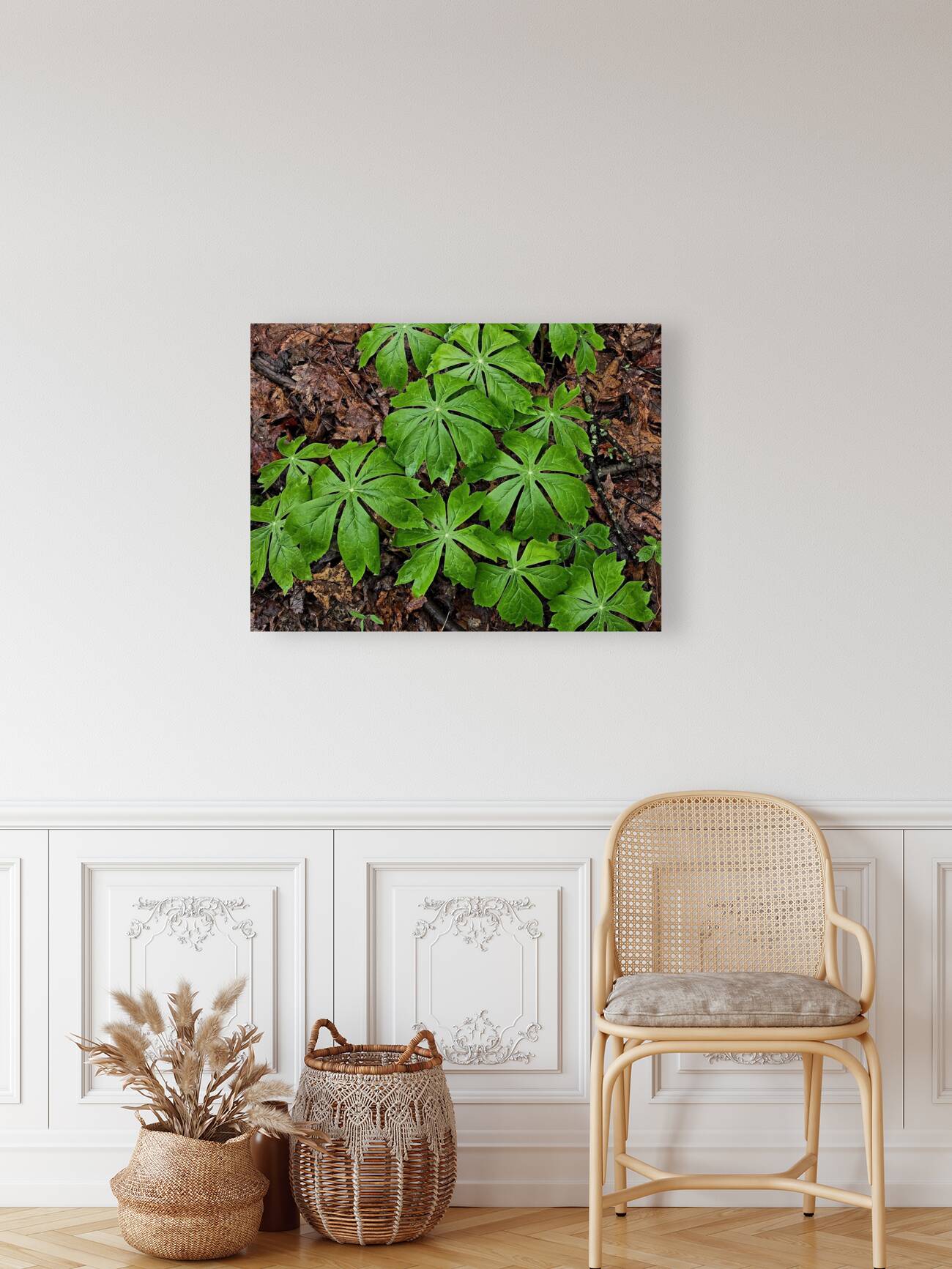 Mayapples 1 Reproduction