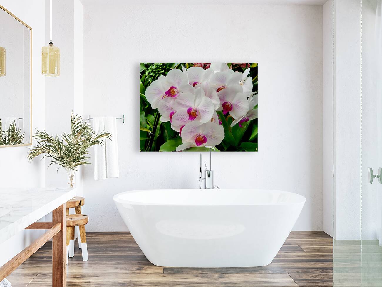 Orchid Cluster Reproduction