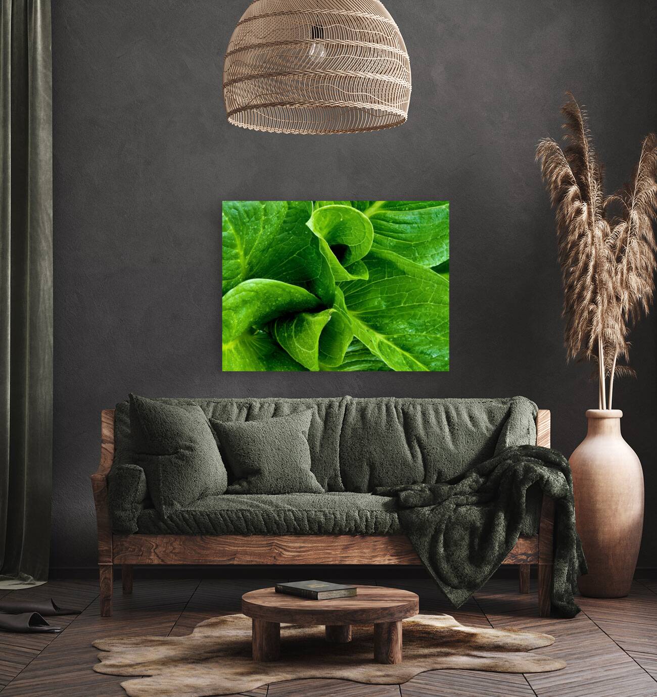 Skunk Cabbage Furls Reproduction