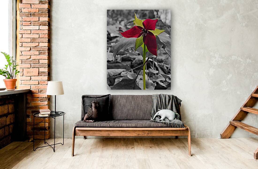 Red Trillium Reproduction