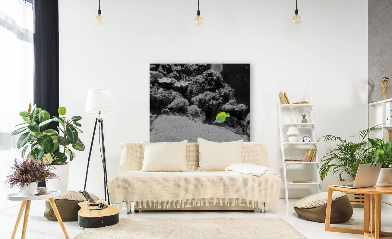 Tropical Fish Reproduction