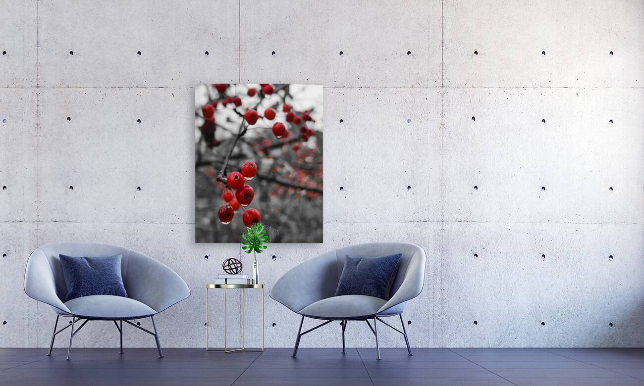 Siberian Crabapple Reproduction