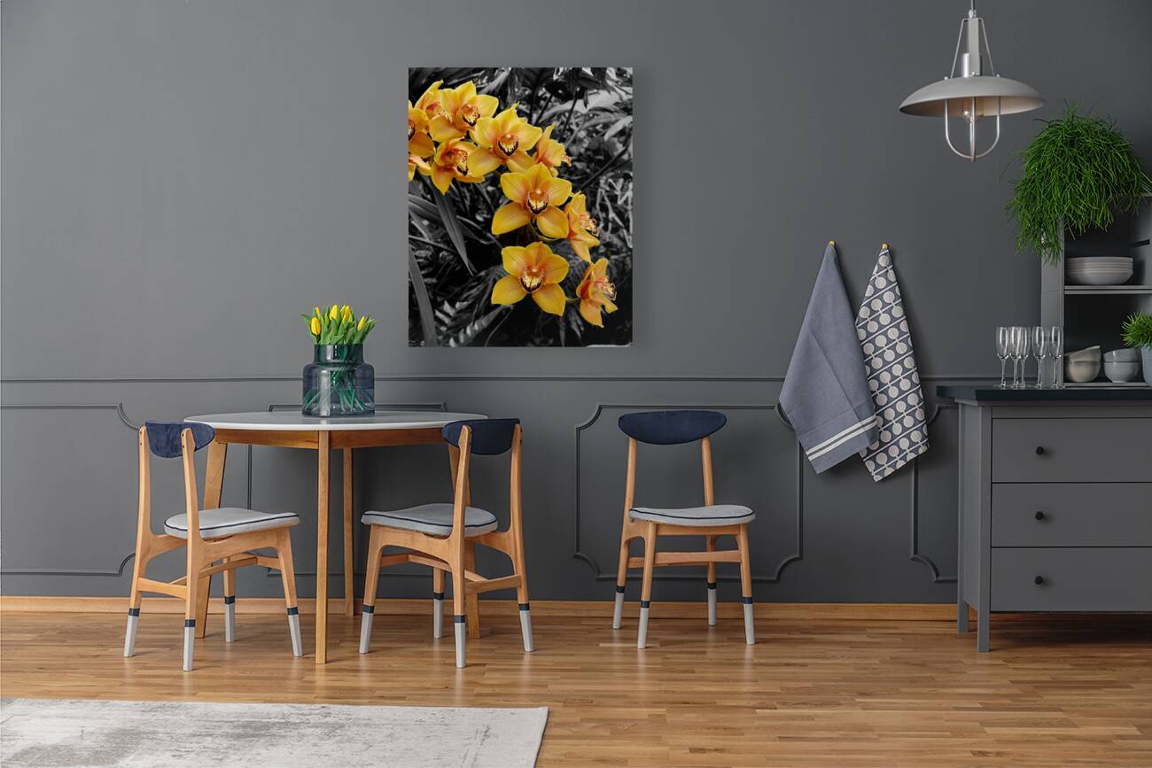 Orchids 3 Reproduction