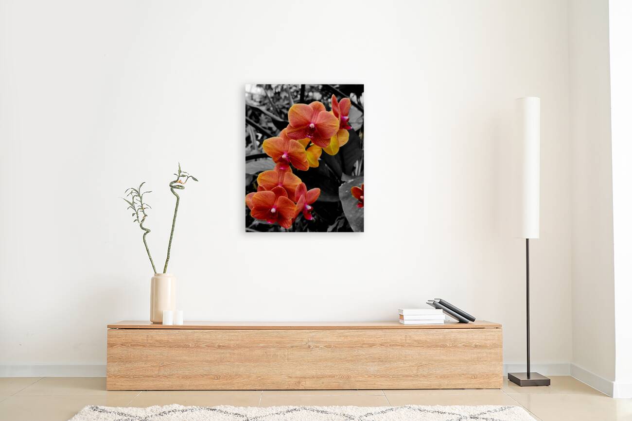 Orchids 4 Reproduction