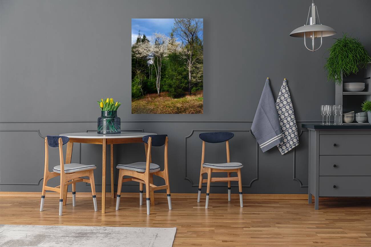 Gallitzin State Forest Reproduction