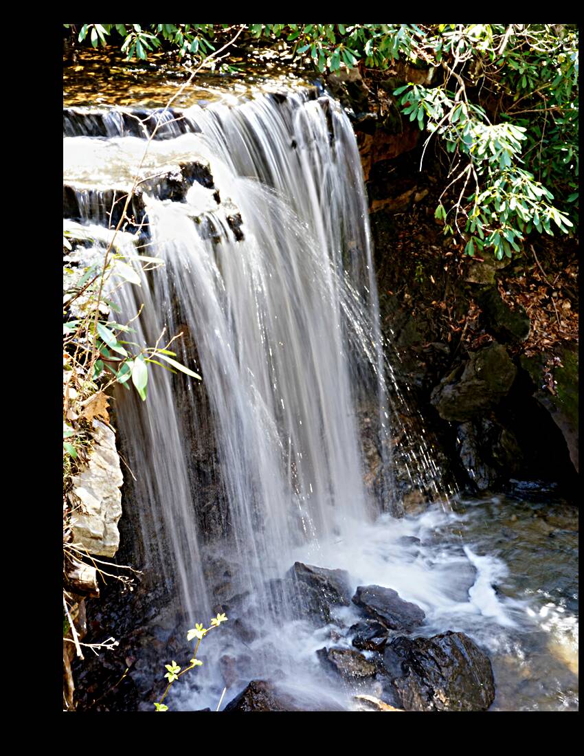 Waterfall Reproduction