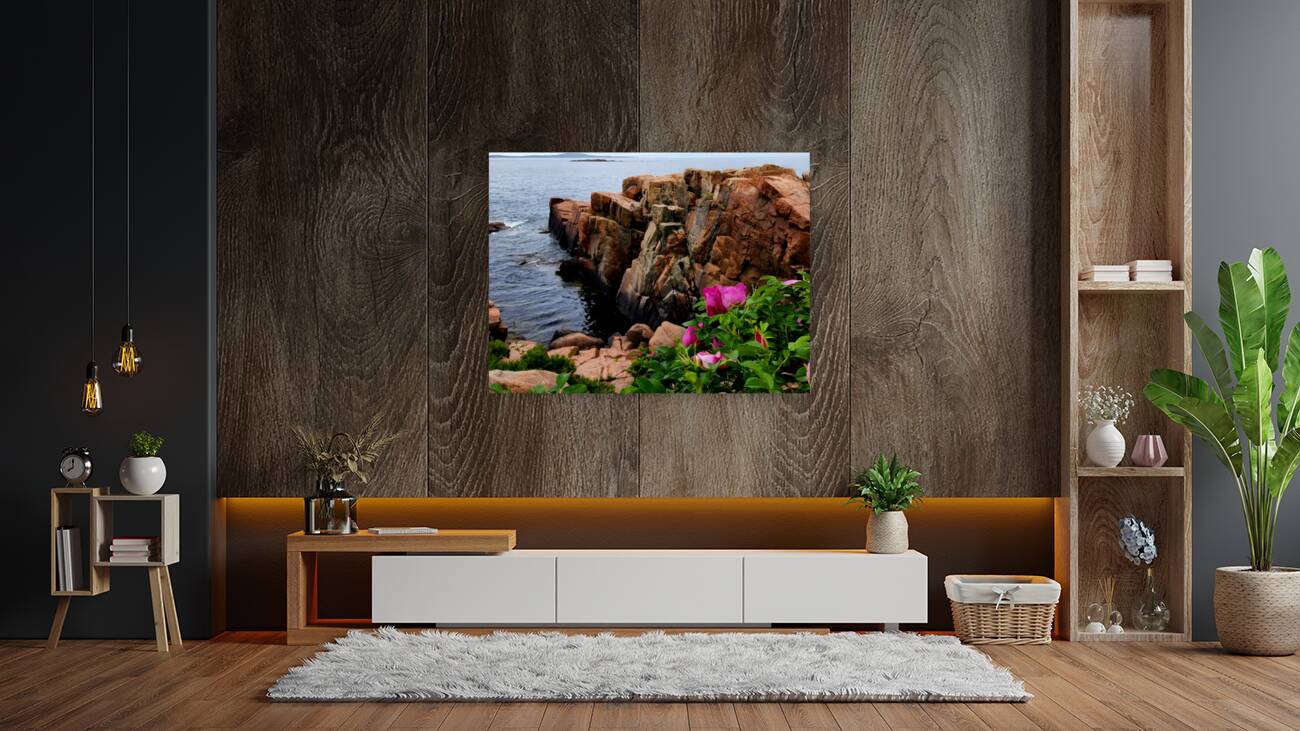 Acadia Coast Reproduction