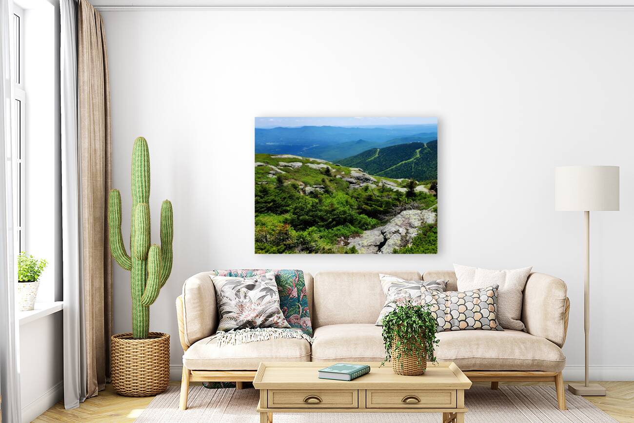 White Mountains Reproduction