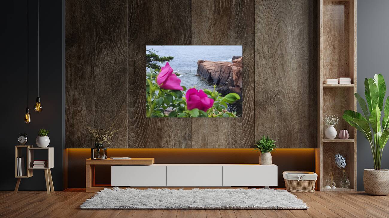 Acadia Point Reproduction