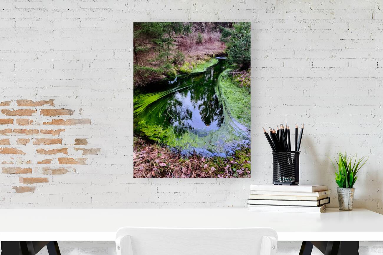 Reitz  2 AMD Reproduction