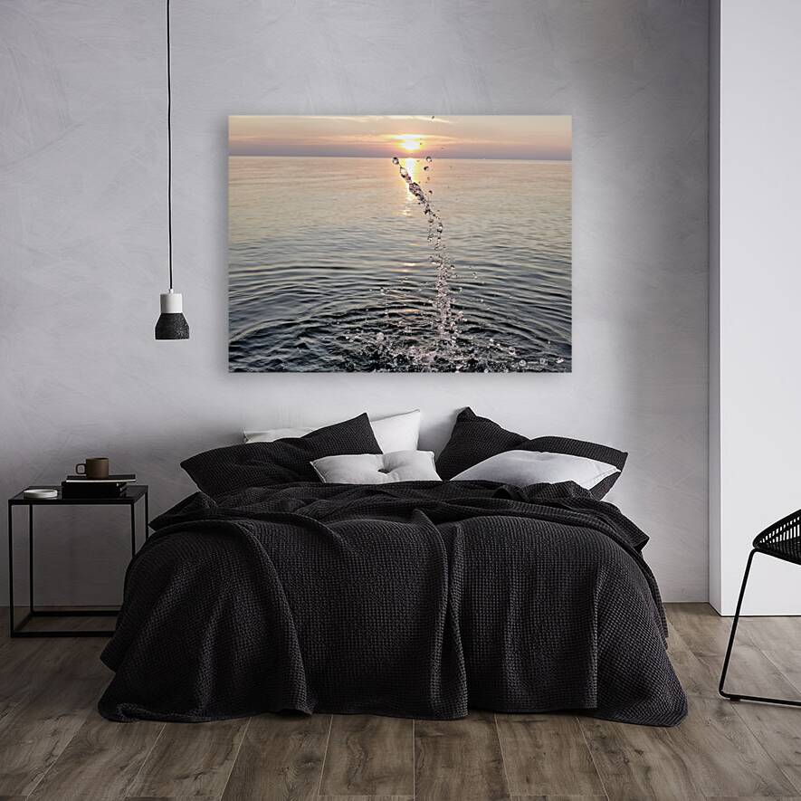 4th Of July Splash  Reproduction